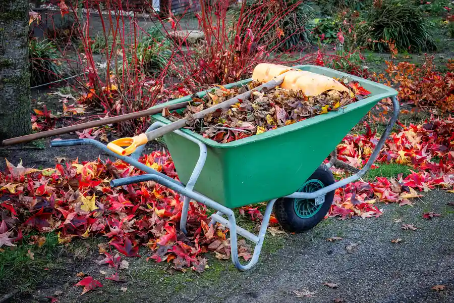 The Benefits Of Professional Yard Waste Removal Services Raleigh, NC The Benefits Of Professional Yard Waste Removal Services Raleigh, NC