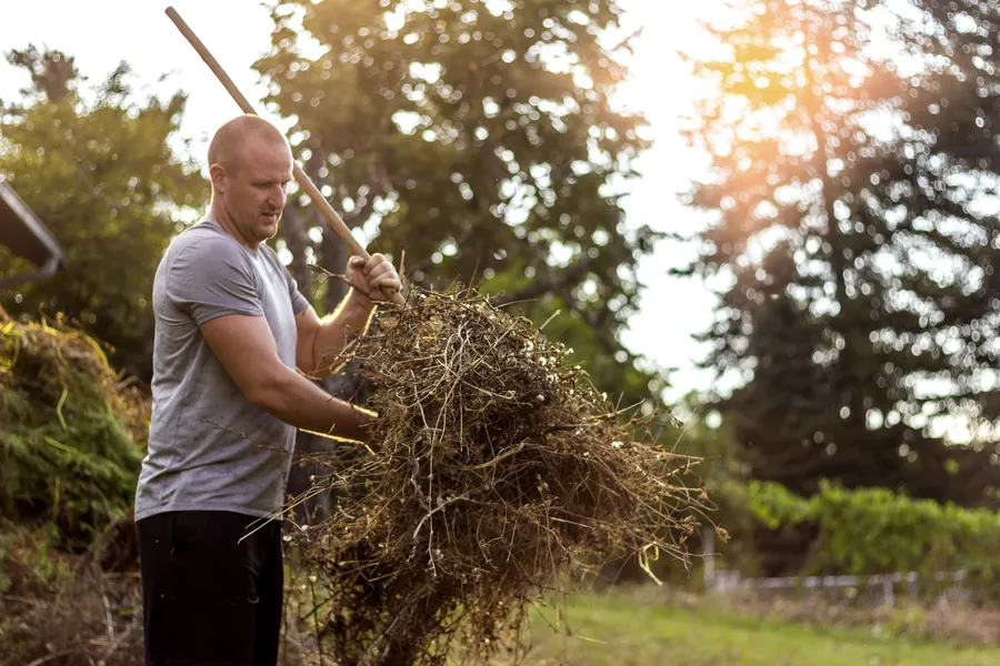 The Benefits Of Professional Yard Waste Removal Services in Raleigh, NC The Benefits Of Professional Yard Waste Removal Services in Raleigh, NC